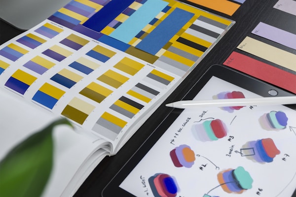 Brand Identity